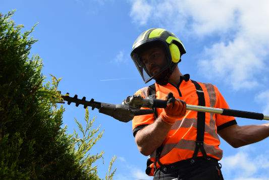 Hedge Maintenance Sussex